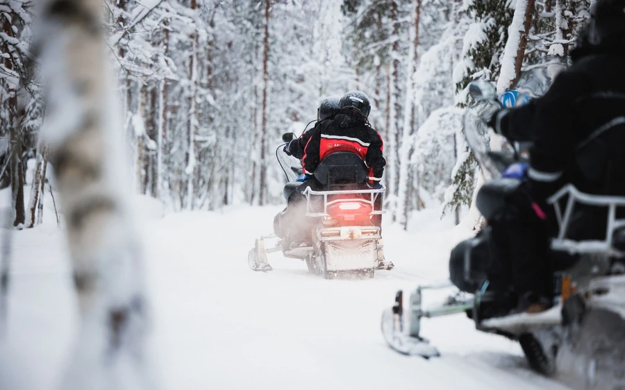 Rovaniemi: Arctic Circle Highlights by Snowmobile